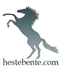 Hestebente.com