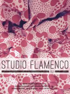 Studio Flamenco