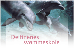 Delfinenes Svømmeskole