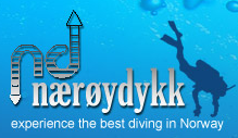 Nærøydykk