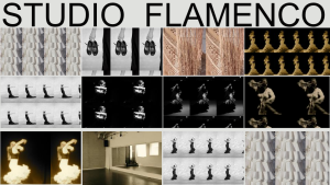 Studio Flamenco