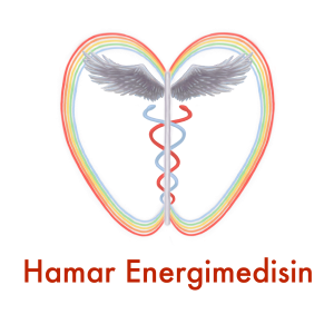 Hamar Energimedisin