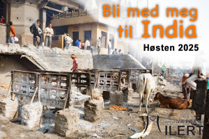 Fotograf Milert
