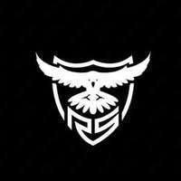 Raven Security AS