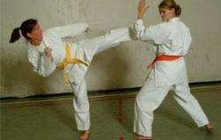 Karate gradering